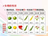 济南版生物八年级上册 4.4.2 性状的遗传 课件