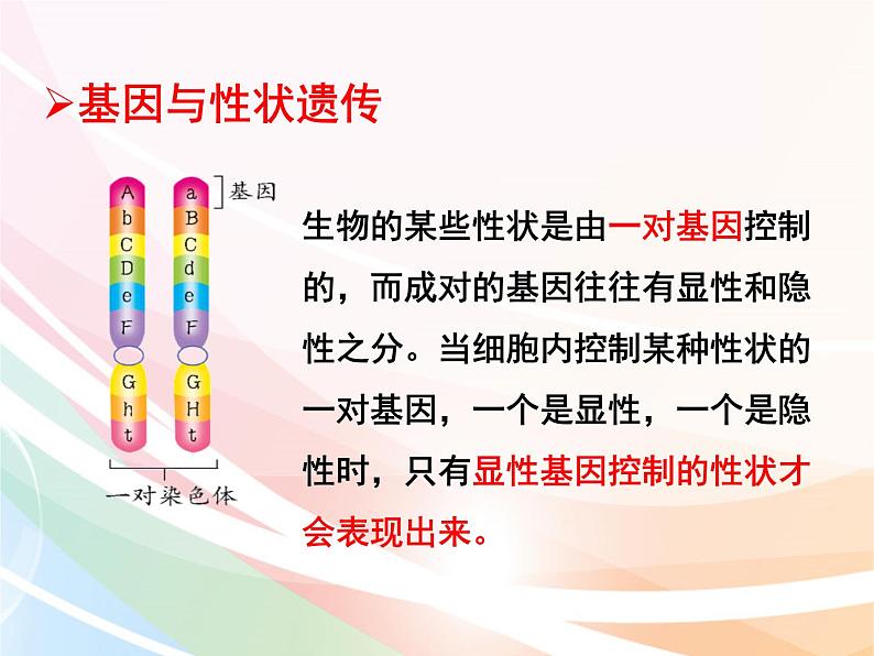 济南版生物八年级上册 4.4.2 性状的遗传 课件06