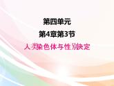 济南版生物八年级上册 4.4.3 人类染色体与性别决定 课件