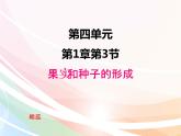 济南版生物八年级上册 4.1.3果实和种子的形成 课件