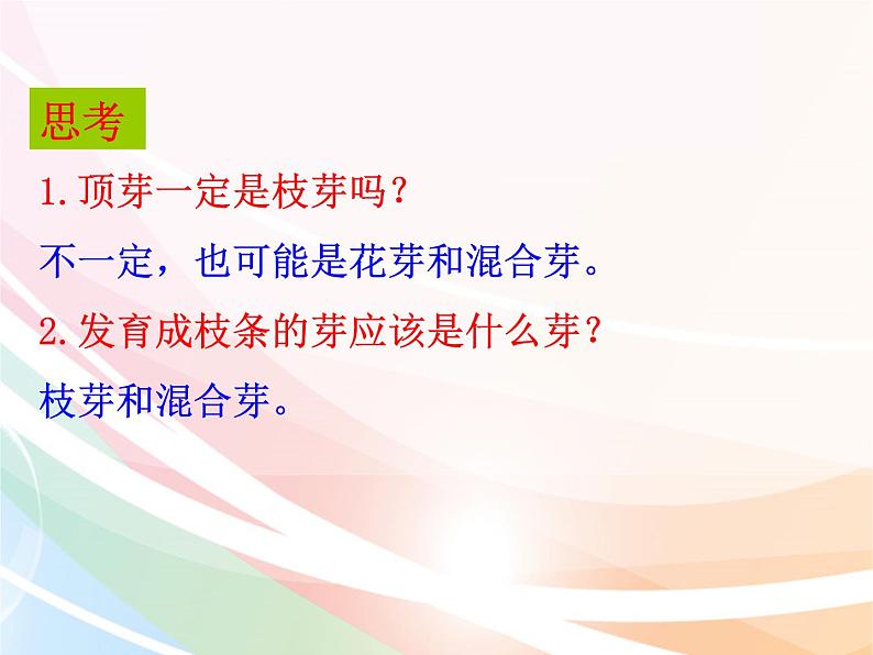 济南版生物八年级上册 4.1.6芽的类型和发育 课件05