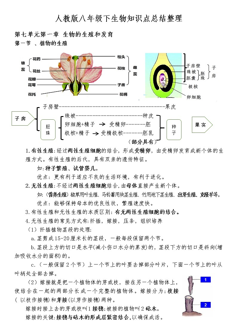 人教版八年级下册生物知识点总结整理第1页