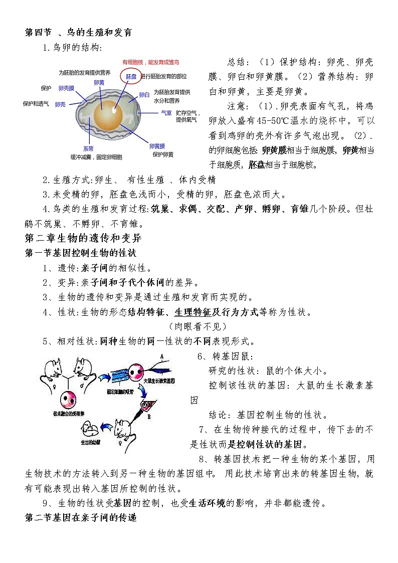 人教版八年级下册生物知识点总结整理第3页