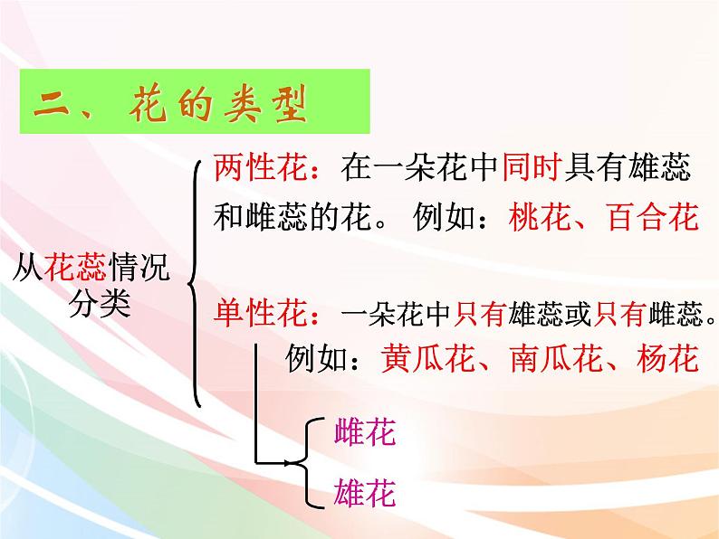 济南版生物八年级上册 4.1.1花的结构和类型 课件07