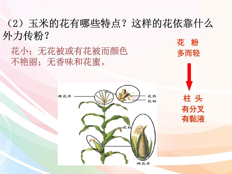 济南版生物八年级上册 4.1.2传粉与受精 课件05