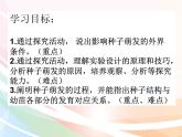 济南版生物八年级上册 4.1.4种子的萌发 课件