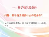 济南版生物八年级上册 4.1.4种子的萌发 课件