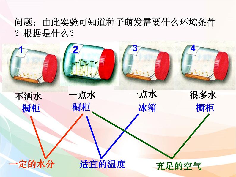 济南版生物八年级上册 4.1.4种子的萌发 课件第8页