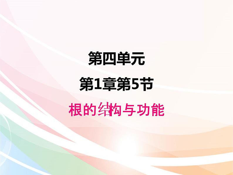 济南版生物八年级上册 4.1.5根的结构及功能 课件01