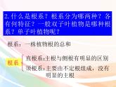 济南版生物八年级上册 4.1.5根的结构及功能 课件