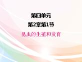 济南版生物八年级上册 4.2.1 昆虫的生殖和发育 课件