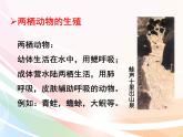 济南版生物八年级上册 4.2.2  两栖动物的生殖和发育 课件