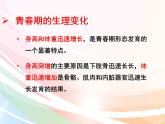 济南版生物八年级上册 4.3.2  青春期发育 课件