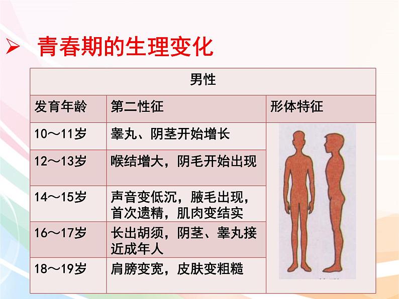 济南版生物八年级上册 4.3.2  青春期发育 课件06