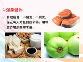 济南版生物八年级上册 4.3.3 走向成熟 课件
