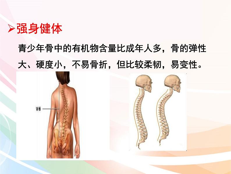 济南版生物八年级上册 4.3.3 走向成熟 课件06