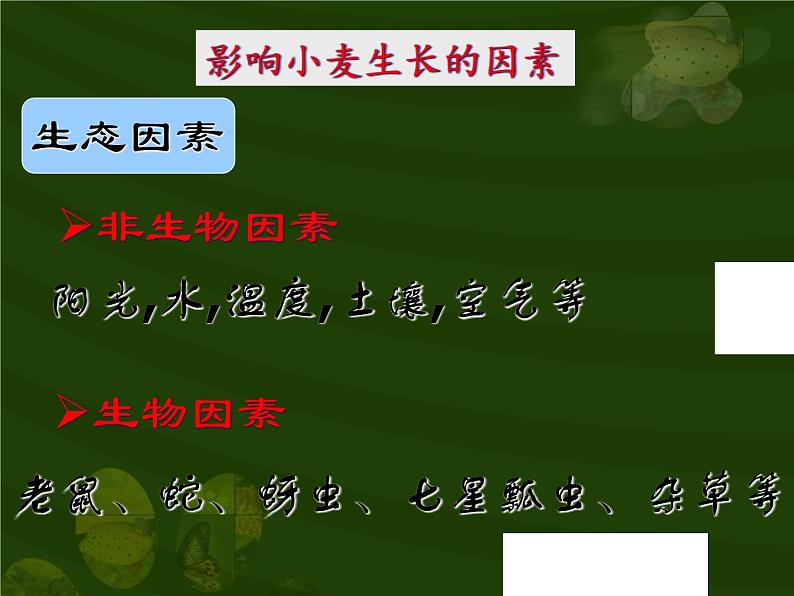 第一单元第二章第一节 生物与环境的关系七年级上学期人教版生物 课件05