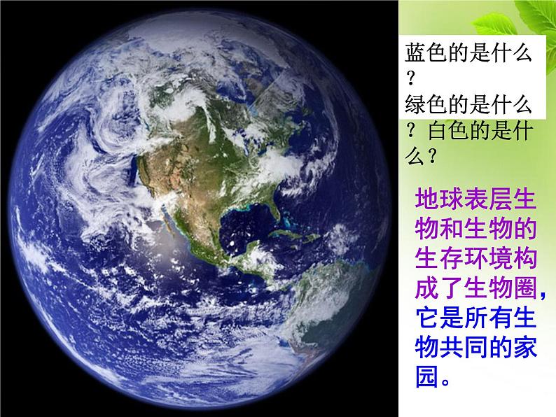 第一单元第一章第一节 生物的特征七年级上学期人教版生物 课件02