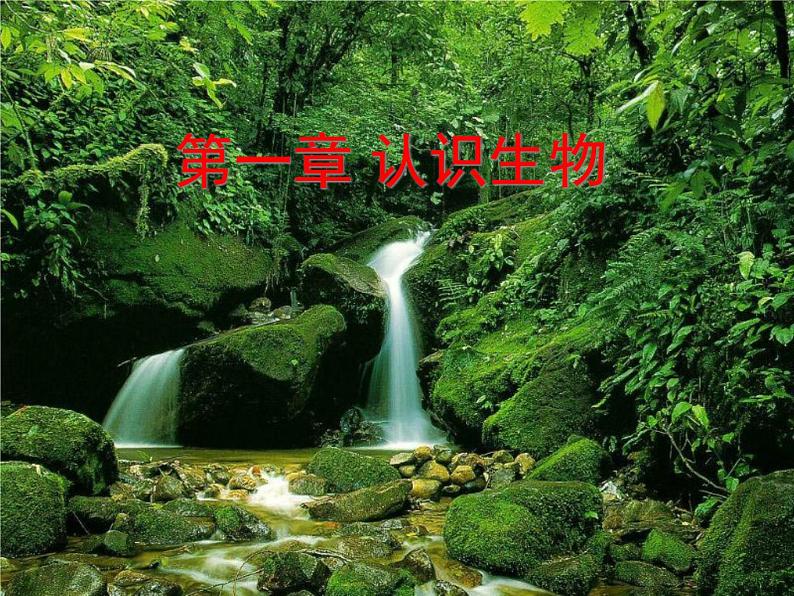 第一单元第一章第一节 生物的特征七年级上学期人教版生物 课件03