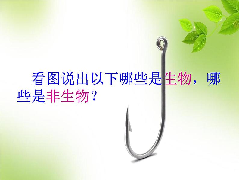 第一单元第一章第一节 生物的特征七年级上学期人教版生物 课件04