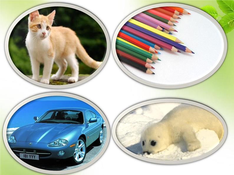 第一单元第一章第一节 生物的特征七年级上学期人教版生物 课件05