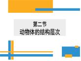 第二单元第二章第二节 动物体的结构层次课件七年级上学期人教版生物