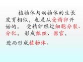 第二单元第二章第三节植物体的结构层次课件七年级上学期人教版生物