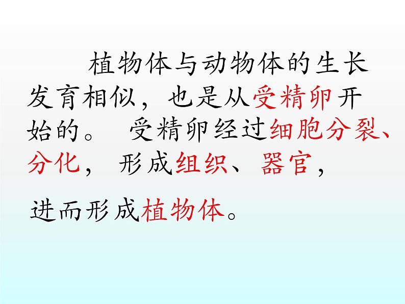 第二单元第二章第三节植物体的结构层次课件七年级上学期人教版生物第4页