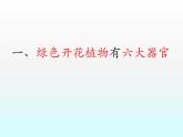 第二单元第二章第三节植物体的结构层次课件七年级上学期人教版生物