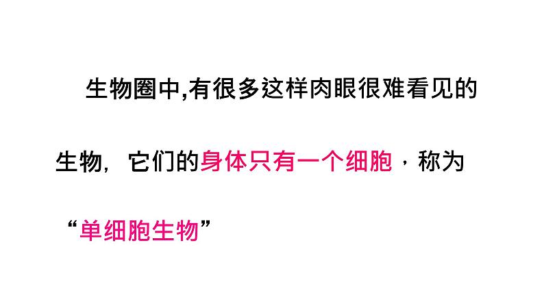 第二单元第二章第四节  单细胞生物七年级生物上册同步教学精品课件（人教版 ）第6页