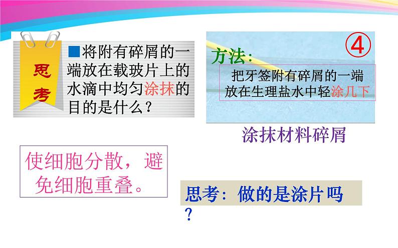 第二单元第一章第三节动物细胞课件七年级上学期人教版生物06