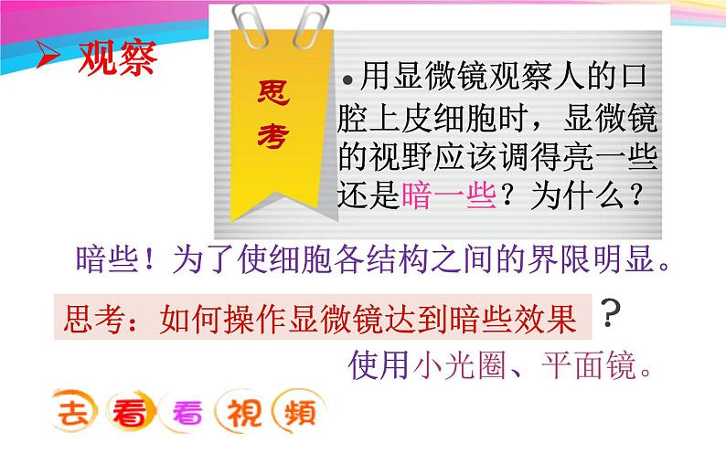 第二单元第一章第三节动物细胞课件七年级上学期人教版生物08