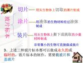 第二单元第一章第二节 植物细胞 课件-人教版七年级生物上册