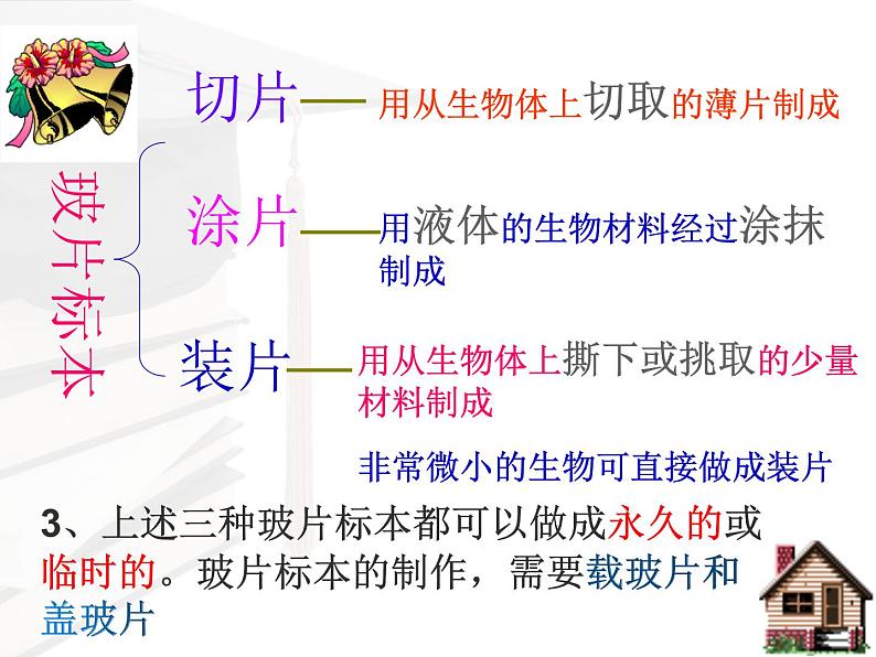 第二单元第一章第二节 植物细胞 课件-人教版七年级生物上册第4页