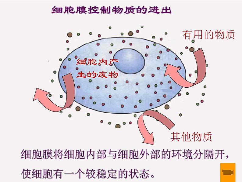 第二单元第一章第四节 细胞的生活人教版七年级生物上册课件(共33张PPT)08