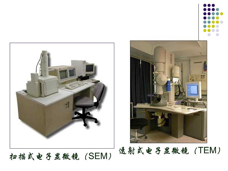 第二单元第一章第一节练习使用显微镜课件(共54张PPT)生物七年级上学期人教版生物04