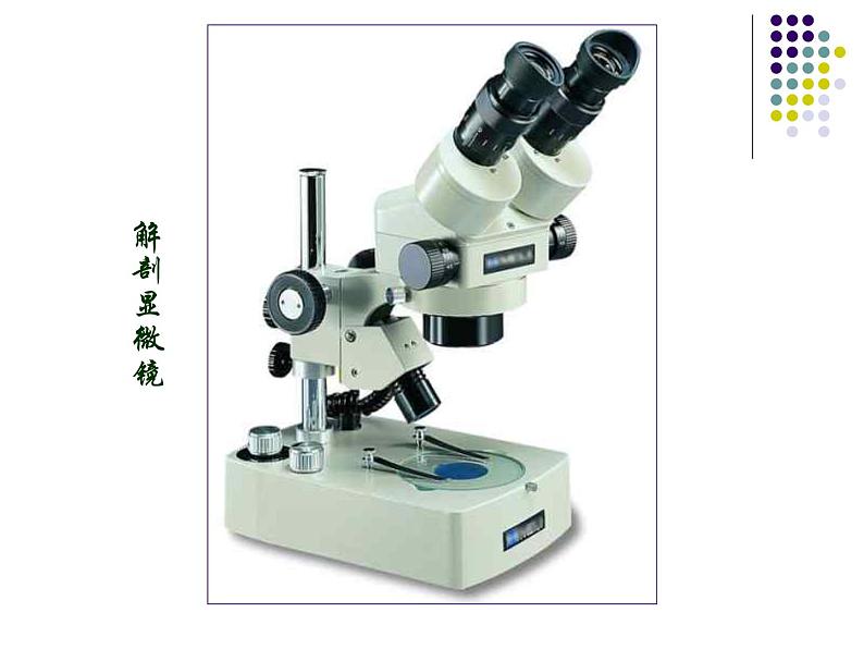 第二单元第一章第一节练习使用显微镜课件(共54张PPT)生物七年级上学期人教版生物06