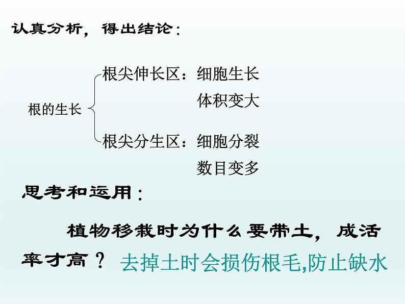 第三单元第二章第二节植株的生长 课件七年级生物人教版上册07