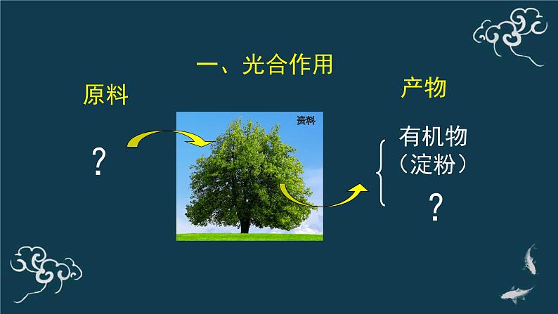 第三单元第五章第一节光合作用吸收二氧化碳释放氧气 课件人教版七年级生物上册03