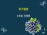 第三單元第一章第一節(jié)種子植物 課件人教版七年級生物上冊
