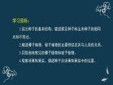 第三單元第一章第一節(jié)種子植物 課件人教版七年級生物上冊