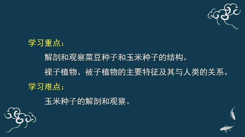 第三单元第一章第一节种子植物 课件人教版七年级生物上册05