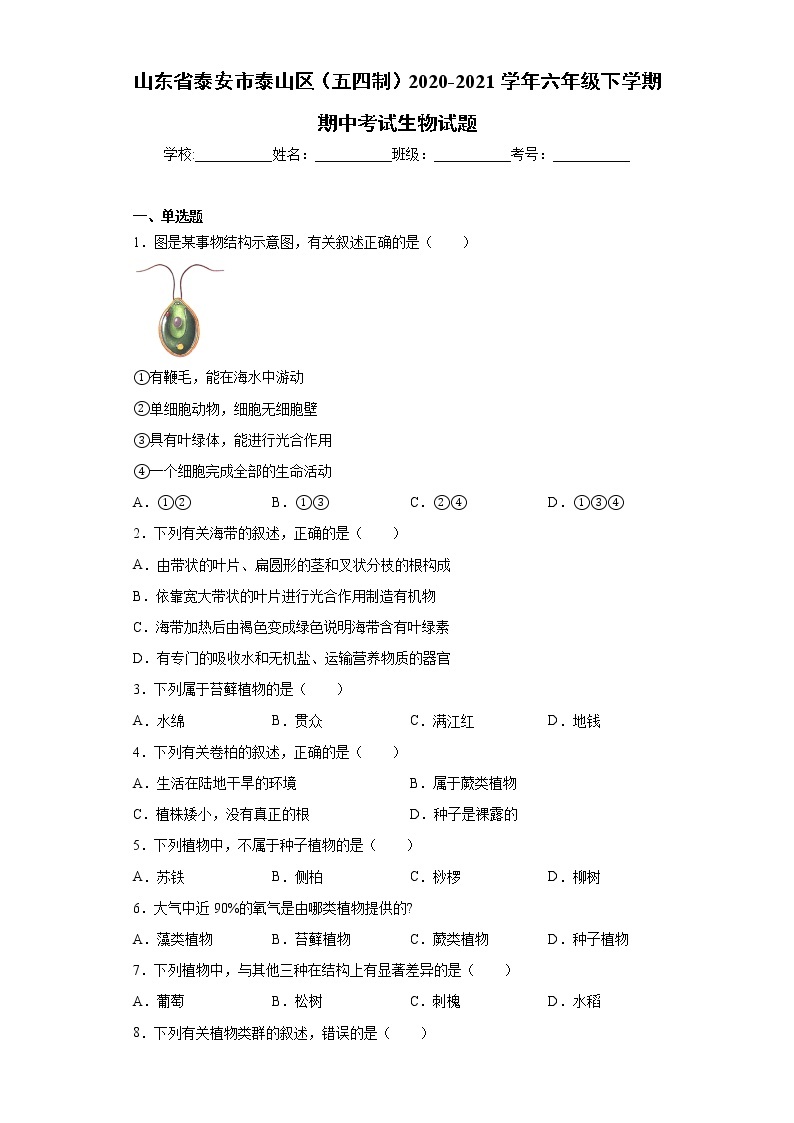 山东省泰安市泰山区（五四制）2020-2021学年六年级下学期期中考试生物试题（word版 含答案）01