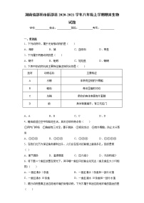 湖南省邵阳市新邵县2020-2021学年八年级上学期期末生物试题（word版 含答案）