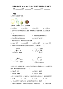 江苏省泰兴市2020-2021学年七年级下学期期中生物试题（word版 含答案）