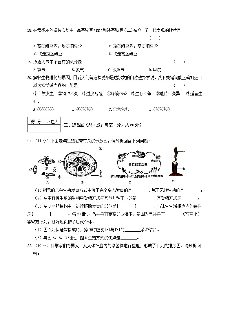 河南省新蔡县2020-2021学年八年级下学期期末考试生物试题（A卷）（word版 含答案）第3页