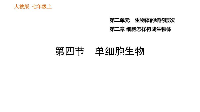 人教版七年级上册生物课件 第二单元 2.2.4 单细胞生物第1页