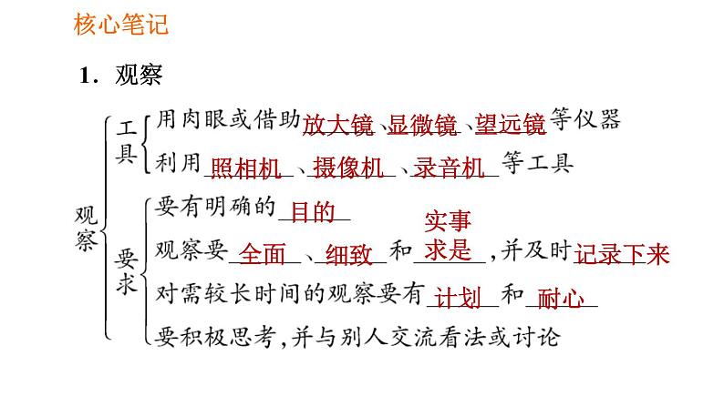 人教版七年级上册生物课件 第一单元 1.1.1 生物的特征第2页