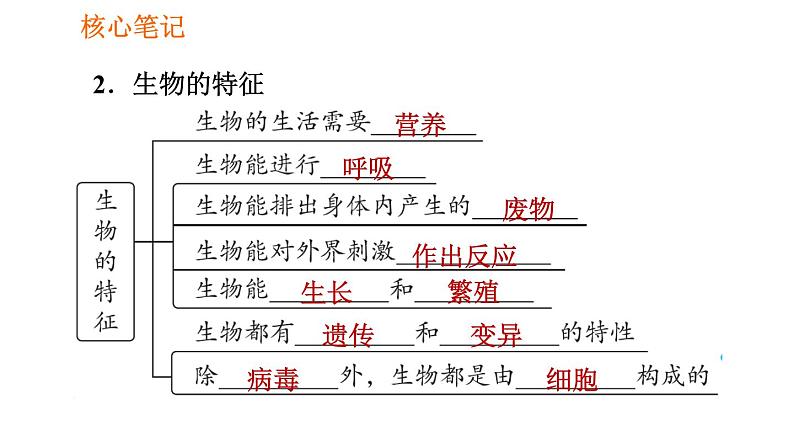 人教版七年级上册生物课件 第一单元 1.1.1 生物的特征第3页