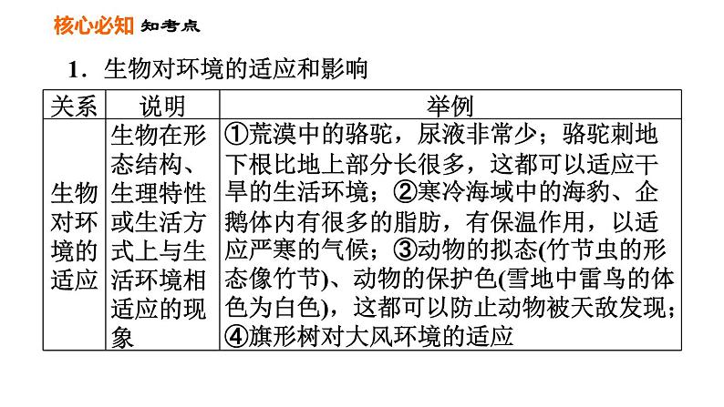 人教版七年级上册生物课件 第一单元 第二章巩固强化复习第3页